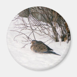 Taube im Schnee-Magneten Magnet