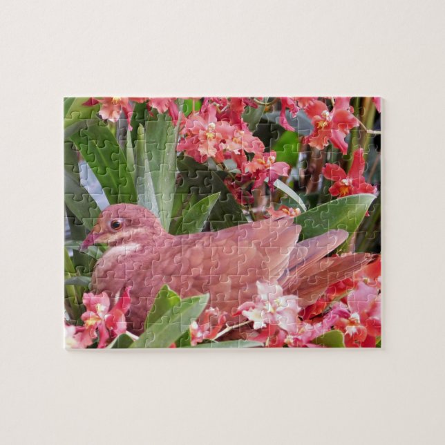 Taube in Blume (Horizontal)