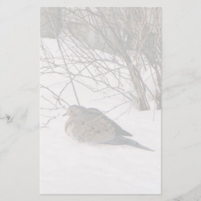 Taube in der Schneestation Briefpapier (Vorderseite)