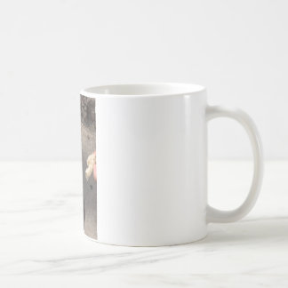 Taube Kaffeetasse