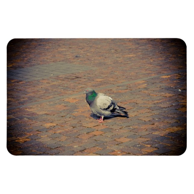 Taube Magnet (Horizontal)