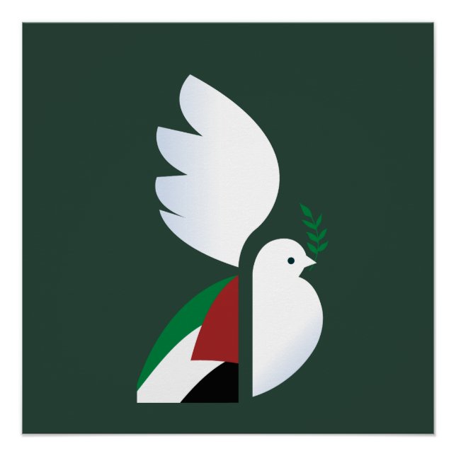 Taube mit der palästinensischen Flagge Poster (Vorderseite)