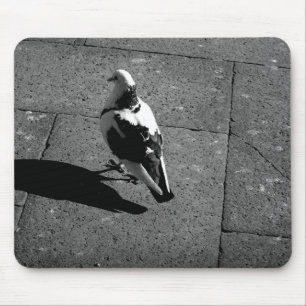 Taube Mousepad