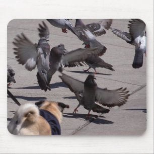 Taube Mousepad