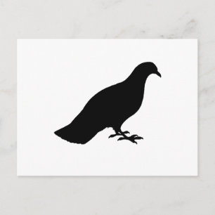 Taube Postkarte