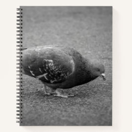 Taube Spiral Notebook Notizbuch