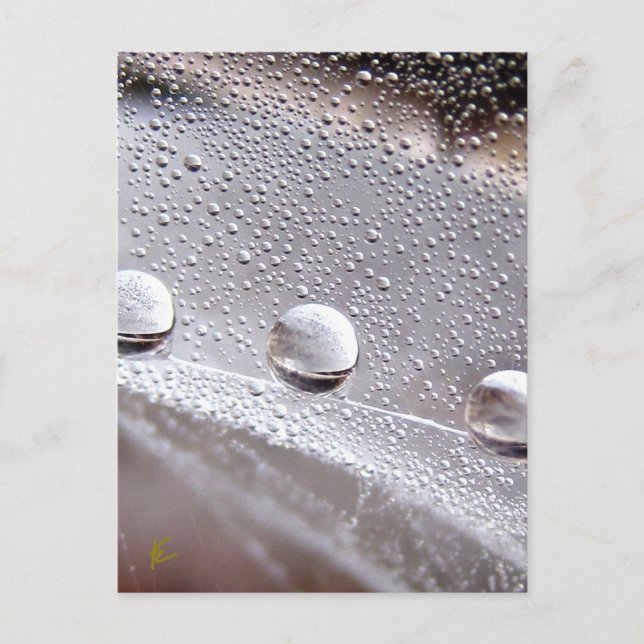 Taube tropft auf Spider Web Galaxy Natur Postkarte (Vorderseite)