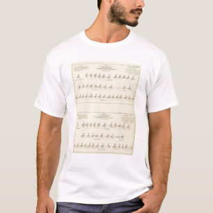 Taube und Mutism, statistische US-Lithographie T-Shirt