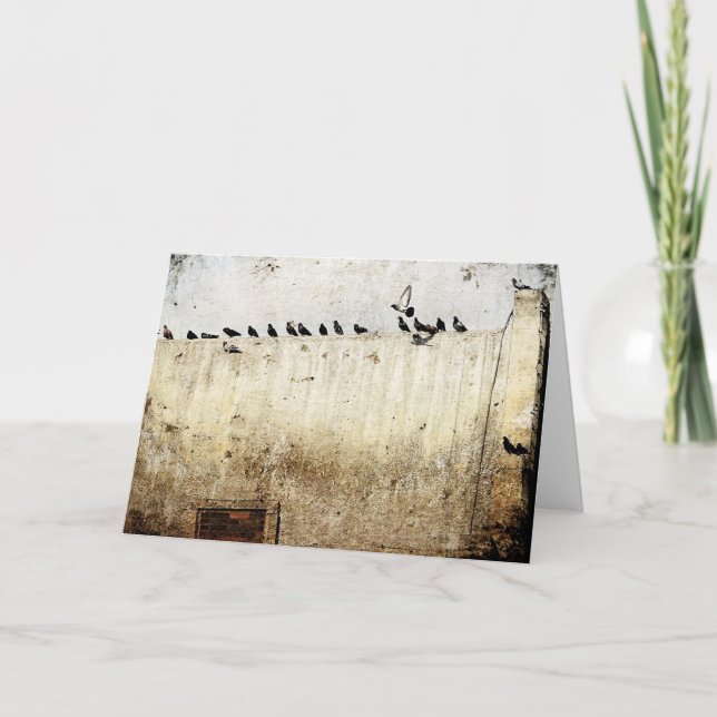 Tauben auf einem Dach Karte (Vorderseite)