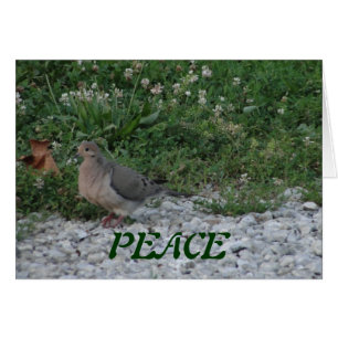 Tauben, Colossians 3:15