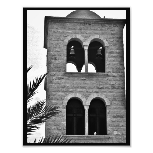 Tauben Fotodruck (Vorne)