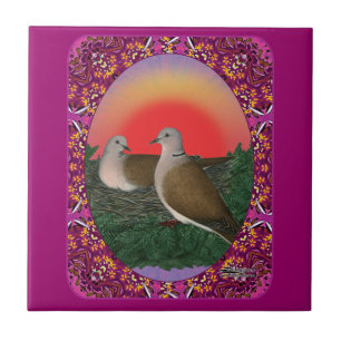 Tauben Gerahmt Fliese