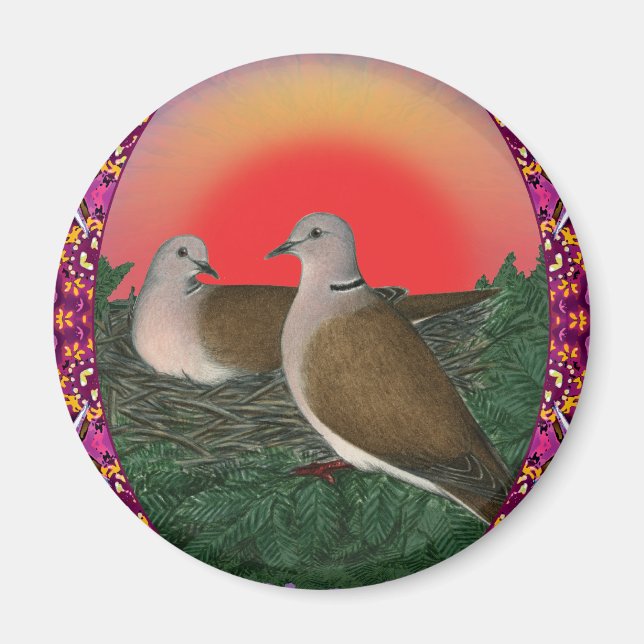 Tauben Gerahmt Magnet (Vorne)