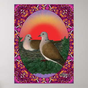 Tauben Gerahmt Poster