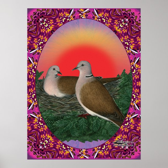 Tauben Gerahmt Poster (Vorne)