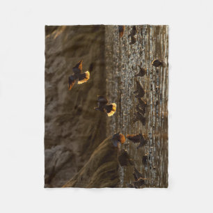 Tauben im Morgenlicht Fleecedecke