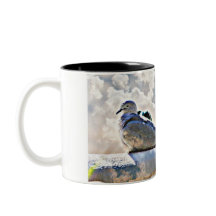 Tauben in der Himmels-Kaffeetasse/Tasse