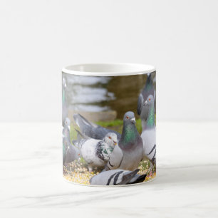 Tauben Kaffeetasse