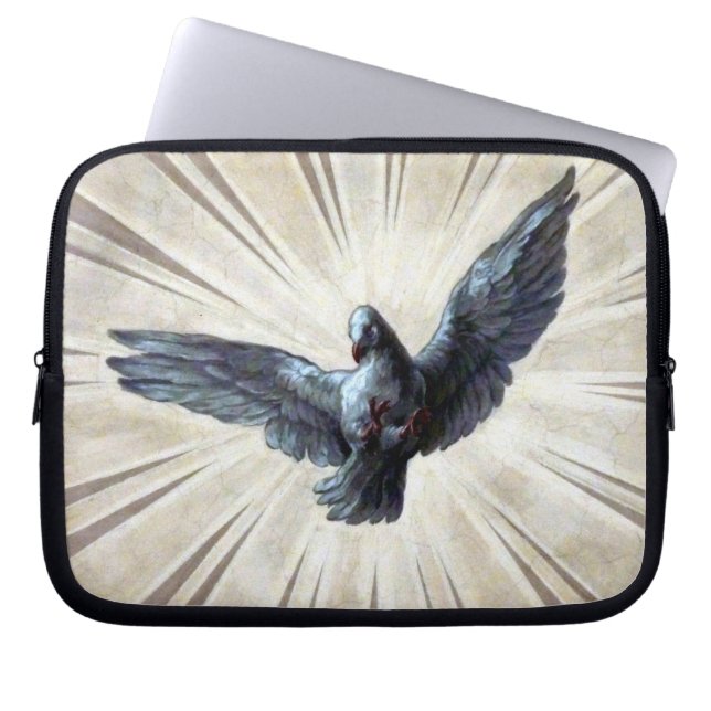 tauben laptopschutzhülle (Vorderseite)
