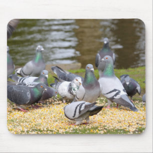 Tauben Mousepad