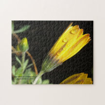 Tauben tropft auf eine gelbe Daisy - Puzzle