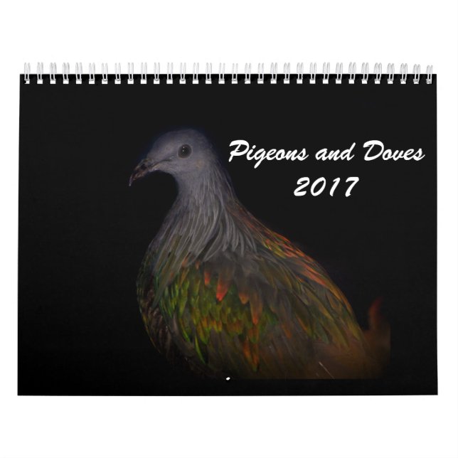 Tauben u. Tauben 2017 Kalender (Titelbild)