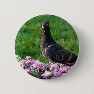 Tauben und Mums Button