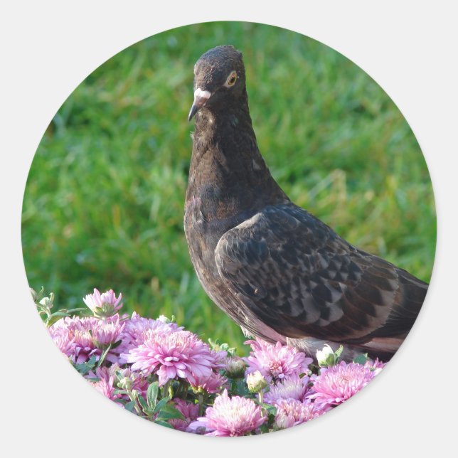 Tauben und Mums Runder Aufkleber (Vorderseite)