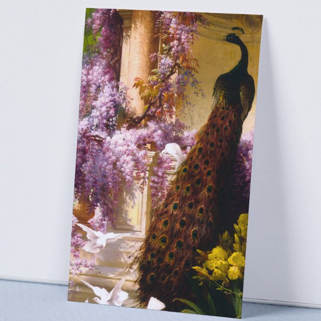 Tauben und Pfauen im Garten Visitenkarte (Von Creator hochgeladen)