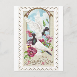 Tauben und Stiefmütterchen Vintag zum Geburtstag Postkarte