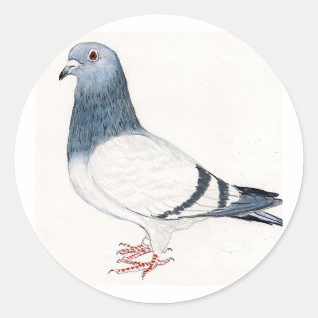 Tauben-Vogel-Kunst-Aufkleber Runder Aufkleber (Vorderseite)