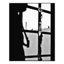 Taubenansicht Fotodruck