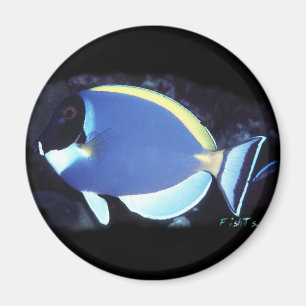 Taubenblaues Tang Magnet