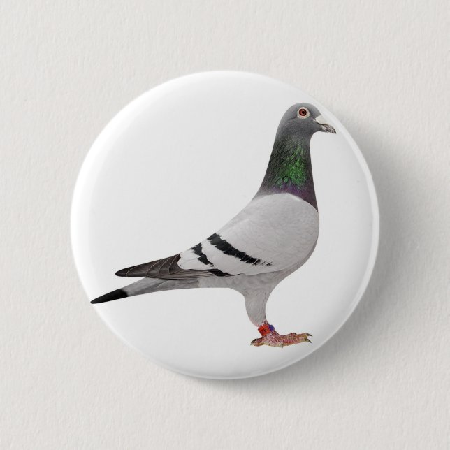 Taubendesign Button (Vorderseite)