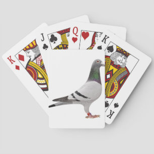 Taubendesign Spielkarten