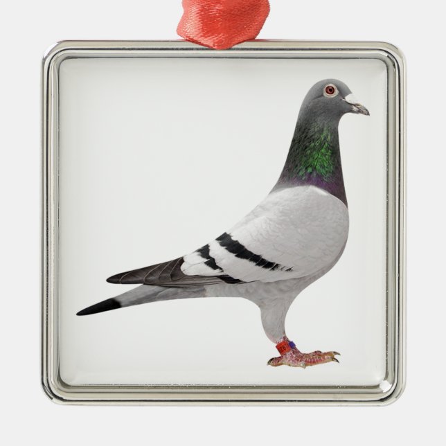 Taubenentwurf Silbernes Ornament (Vorne)