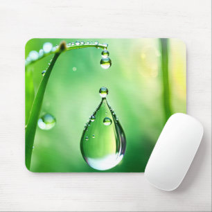 Taubenfallen auf Gras Mousepad