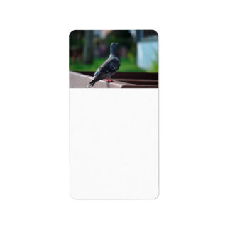 Taubengeflügel Adressaufkleber