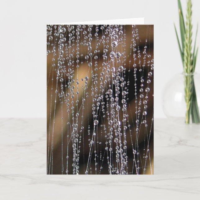 Taubenvorhang, glühendes Wasser Karte (Vorderseite)