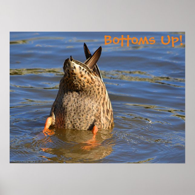 Tauch-Duck-Poster Poster (Vorne)