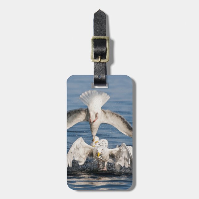 Tauchanfänge Gepäckanhänger (Vorderseite vertikal)