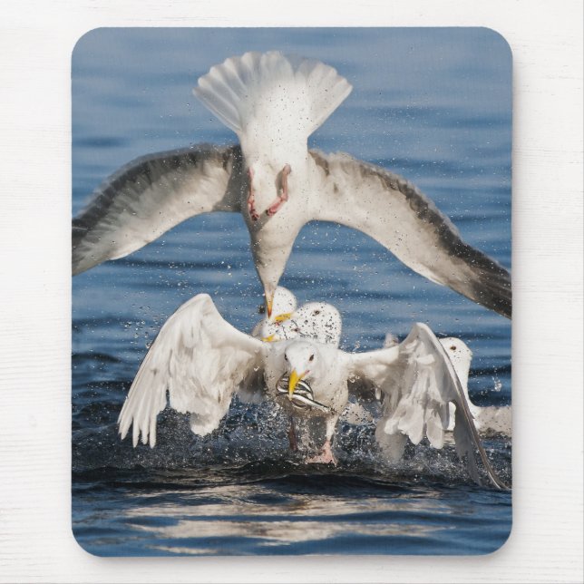 Tauchanfänge Mousepad (Vorne)