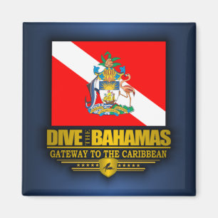 Tauchen auf den Bahamas 2 Magnet