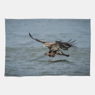 Tauchen mit Bald für einen Fisch Küchentuch