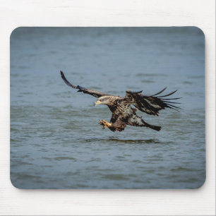 Tauchen mit Bald für einen Fisch Mousepad