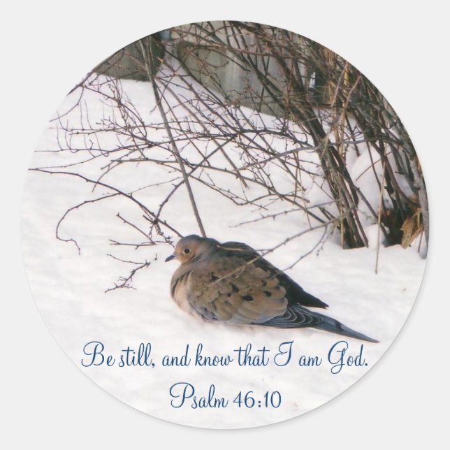 Tauchen Sie ein in die Snow Scripture Stickers (Vorderseite)