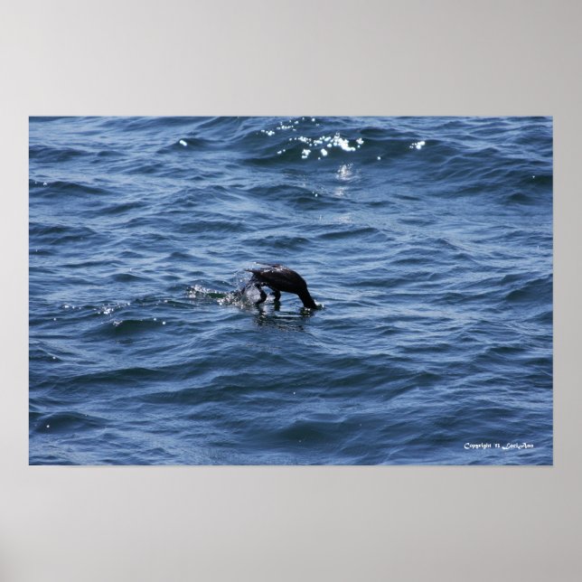 Tauchen unter poster (Vorne)