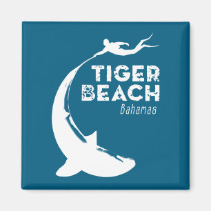 Tauchen von Haifischen am Tiger Beach Magnet