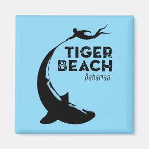 Tauchen von Haifischen am Tiger Beach Magnet