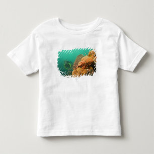 Taucher & Skorpionfisch Scorpanopsis Kleinkind T-shirt